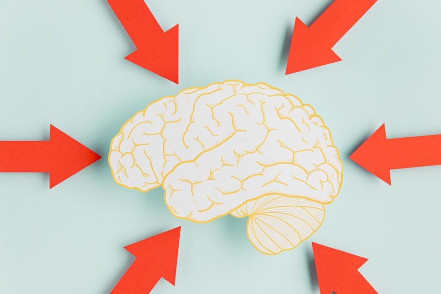 apprendre une langue étrangère neurosciences